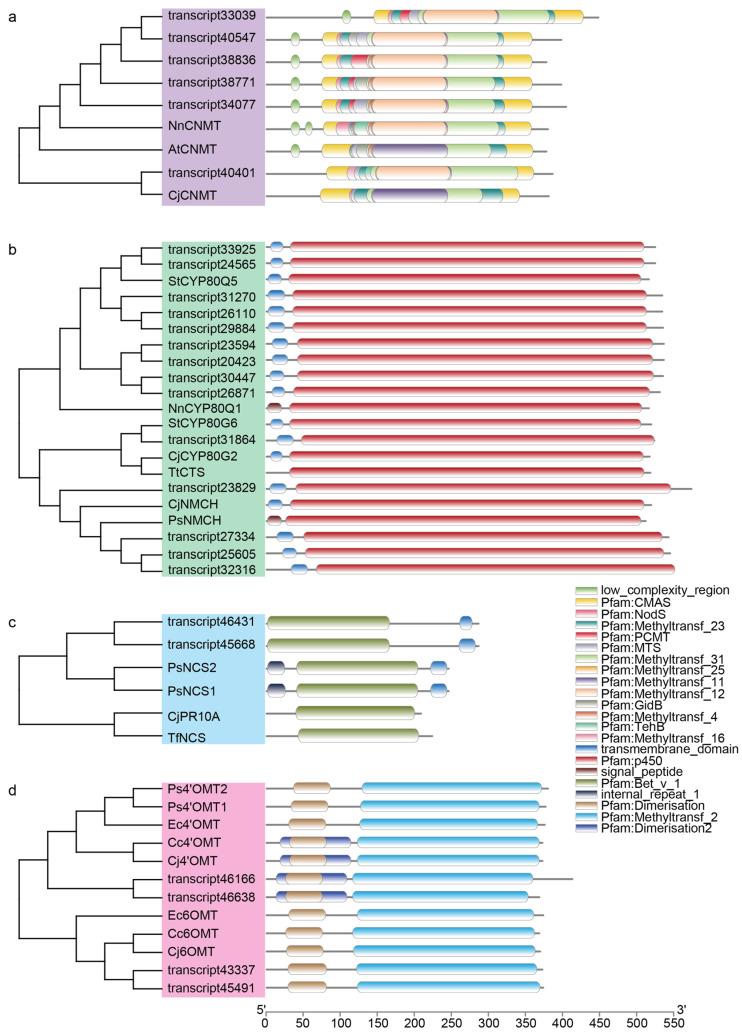 https://cdn.ncbi.nlm.nih.gov/pmc/blobs/8046/11767795/83f13788a083/molecules-30-00259-g003.jpg