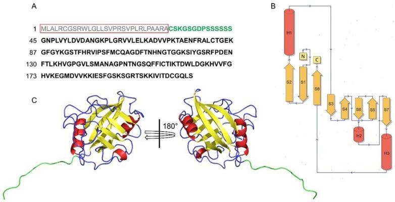 https://cdn.ncbi.nlm.nih.gov/pmc/blobs/804a/10452829/f991f6ca6f8d/biomolecules-13-01265-g001.jpg