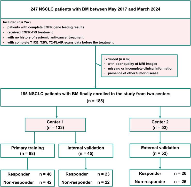 https://cdn.ncbi.nlm.nih.gov/pmc/blobs/804c/12116672/e4f7f13b8fb9/fcell-13-1525989-g001.jpg