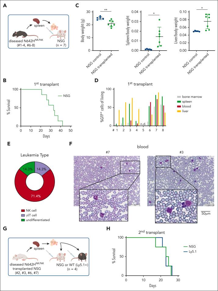 https://cdn.ncbi.nlm.nih.gov/pmc/blobs/804e/11208297/342245a7bf38/BLOOD_BLD-2023-022655-gr6.jpg
