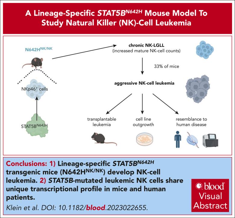 https://cdn.ncbi.nlm.nih.gov/pmc/blobs/804e/11208297/84ad7941d191/BLOOD_BLD-2023-022655-ga1.jpg