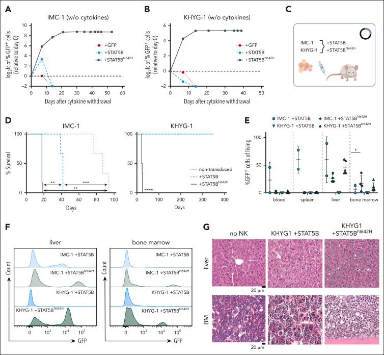 https://cdn.ncbi.nlm.nih.gov/pmc/blobs/804e/11208297/aa992d8359f0/BLOOD_BLD-2023-022655-gr3.jpg