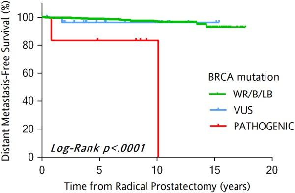 https://cdn.ncbi.nlm.nih.gov/pmc/blobs/8050/6760554/a45aa397d0fa/41391_2018_114_Fig1_HTML.jpg