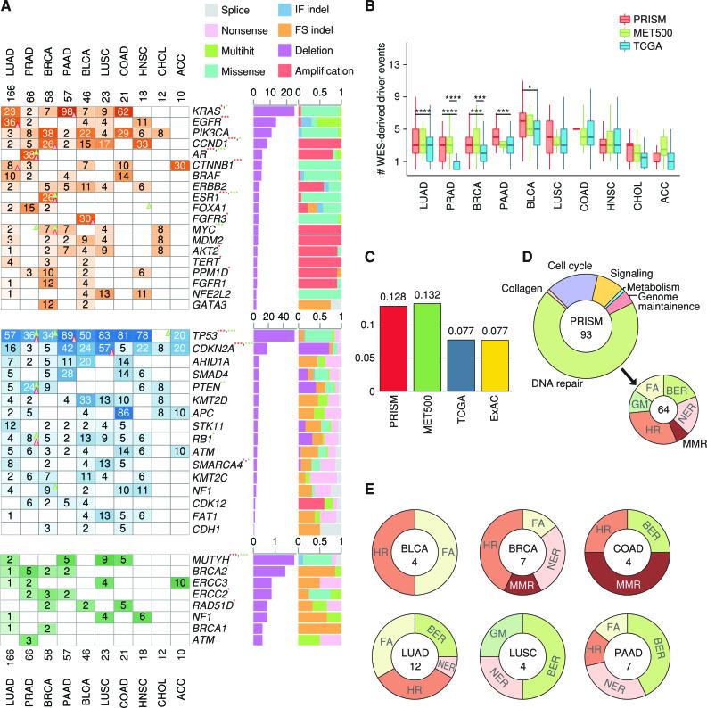 https://cdn.ncbi.nlm.nih.gov/pmc/blobs/8051/10157368/9368b3d126b3/1116fig3.jpg