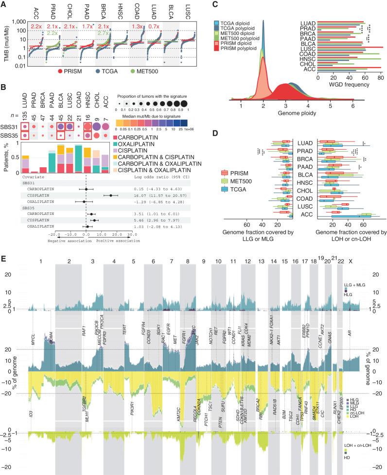 https://cdn.ncbi.nlm.nih.gov/pmc/blobs/8051/10157368/9379a4554d53/1116fig2.jpg