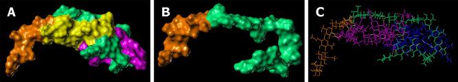 https://cdn.ncbi.nlm.nih.gov/pmc/blobs/8053/11056916/092ef0a511c6/WJG-30-2258-g008.jpg