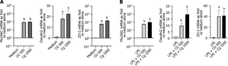 https://cdn.ncbi.nlm.nih.gov/pmc/blobs/8053/11056916/54cff7b2ee37/WJG-30-2258-g007.jpg