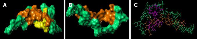 https://cdn.ncbi.nlm.nih.gov/pmc/blobs/8053/11056916/83f8a4850005/WJG-30-2258-g009.jpg