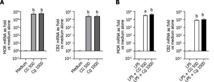 https://cdn.ncbi.nlm.nih.gov/pmc/blobs/8053/11056916/9e35dfed6791/WJG-30-2258-g005.jpg
