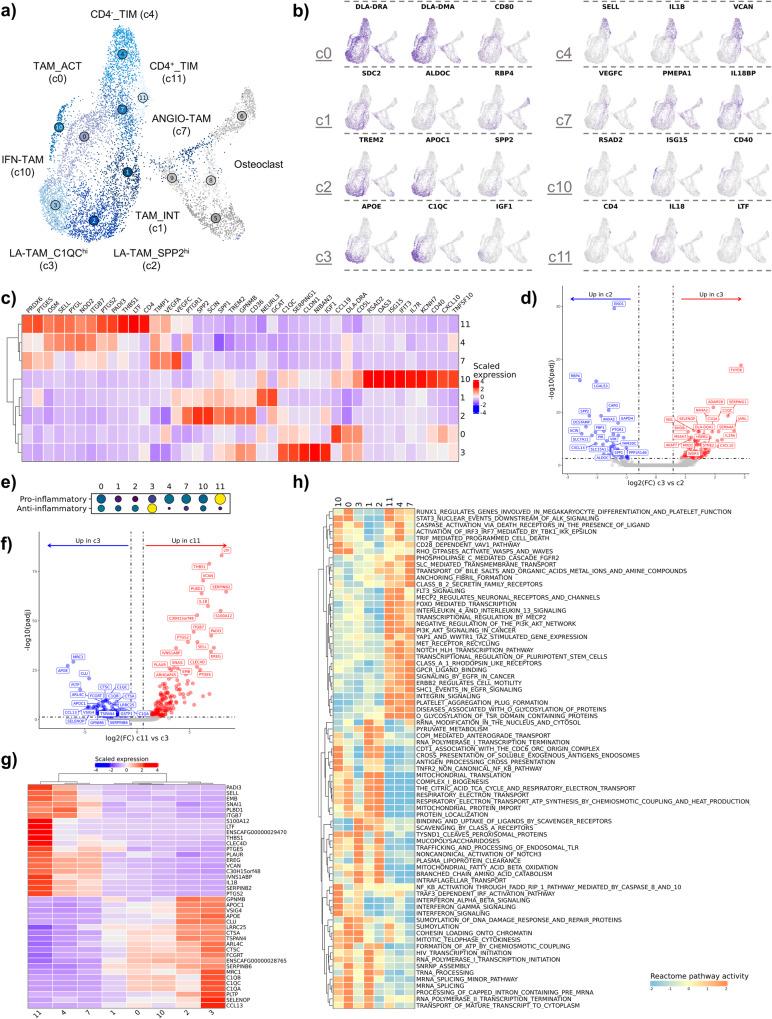 https://cdn.ncbi.nlm.nih.gov/pmc/blobs/8056/11043452/7311dbdba64b/42003_2024_6182_Fig5_HTML.jpg