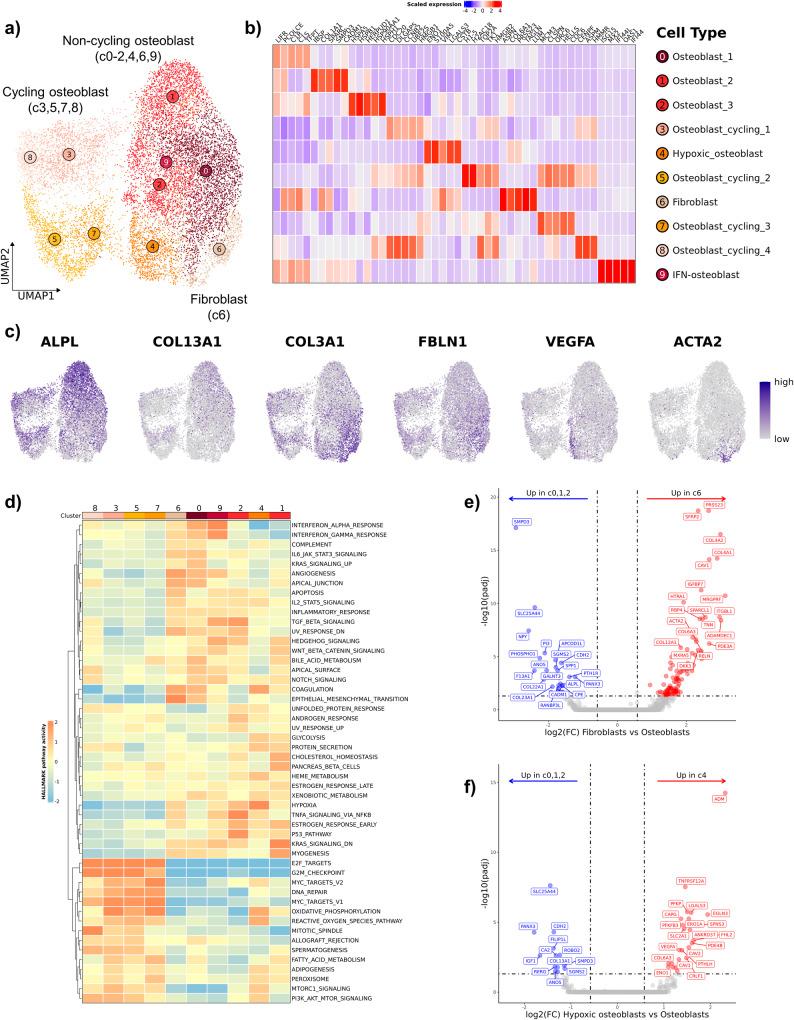 https://cdn.ncbi.nlm.nih.gov/pmc/blobs/8056/11043452/86b78678b428/42003_2024_6182_Fig2_HTML.jpg