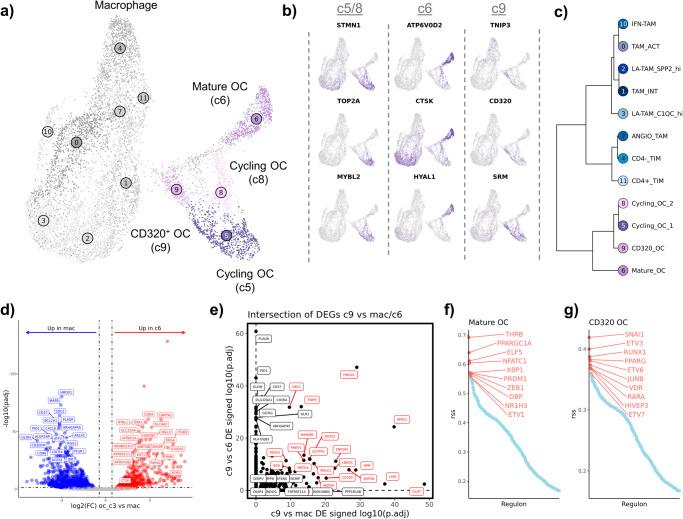 https://cdn.ncbi.nlm.nih.gov/pmc/blobs/8056/11043452/c052afed548f/42003_2024_6182_Fig6_HTML.jpg