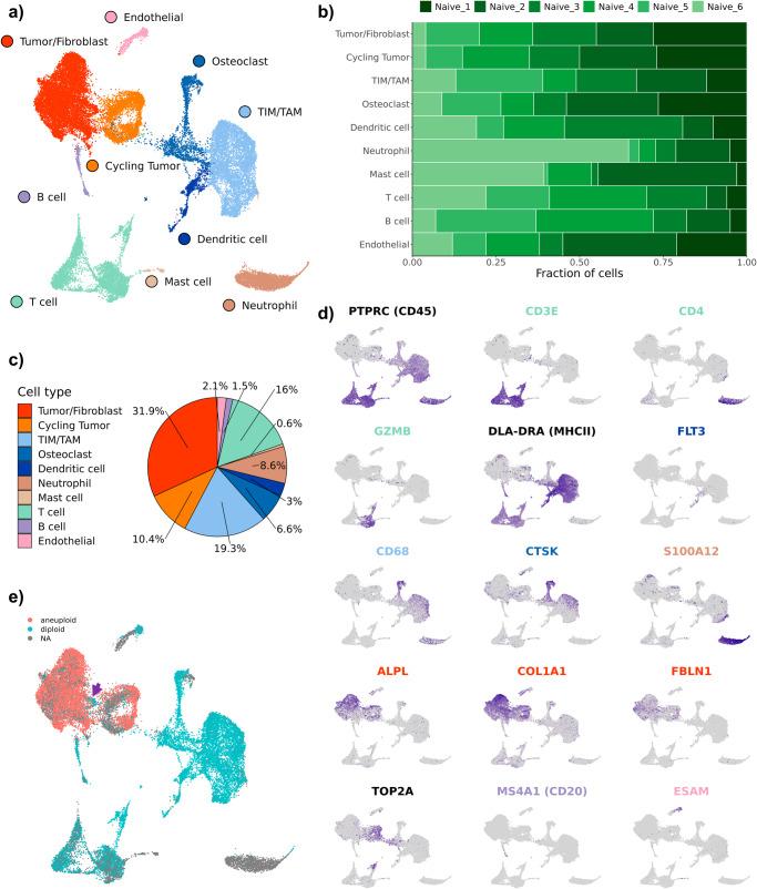 https://cdn.ncbi.nlm.nih.gov/pmc/blobs/8056/11043452/c8a4d08d190b/42003_2024_6182_Fig1_HTML.jpg