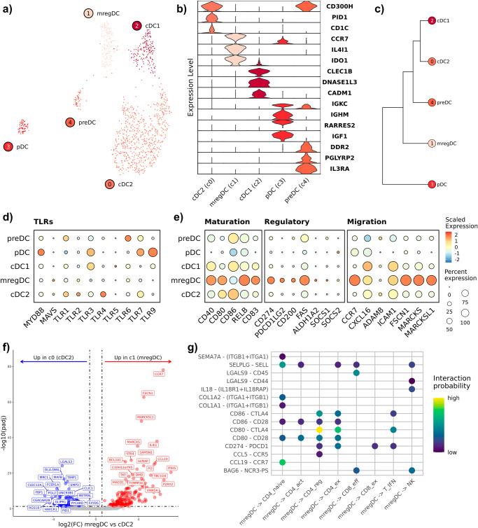 https://cdn.ncbi.nlm.nih.gov/pmc/blobs/8056/11043452/d3a812831f77/42003_2024_6182_Fig4_HTML.jpg