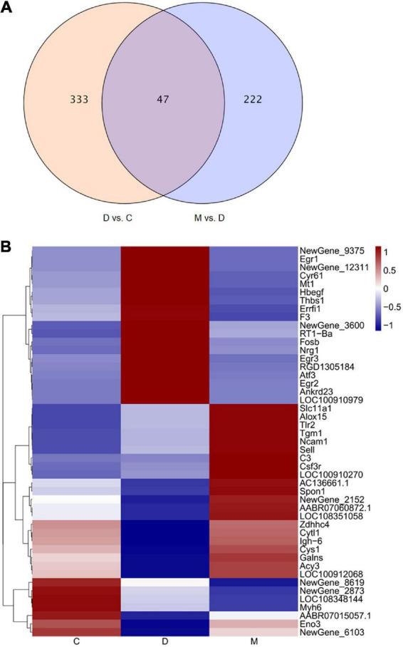 https://cdn.ncbi.nlm.nih.gov/pmc/blobs/8056/9846618/11ecdd69a51f/fnut-09-1060684-g004.jpg