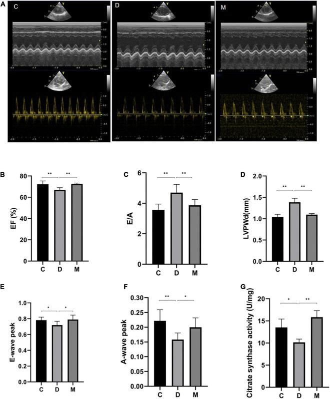 https://cdn.ncbi.nlm.nih.gov/pmc/blobs/8056/9846618/6747e96a2b6d/fnut-09-1060684-g003.jpg