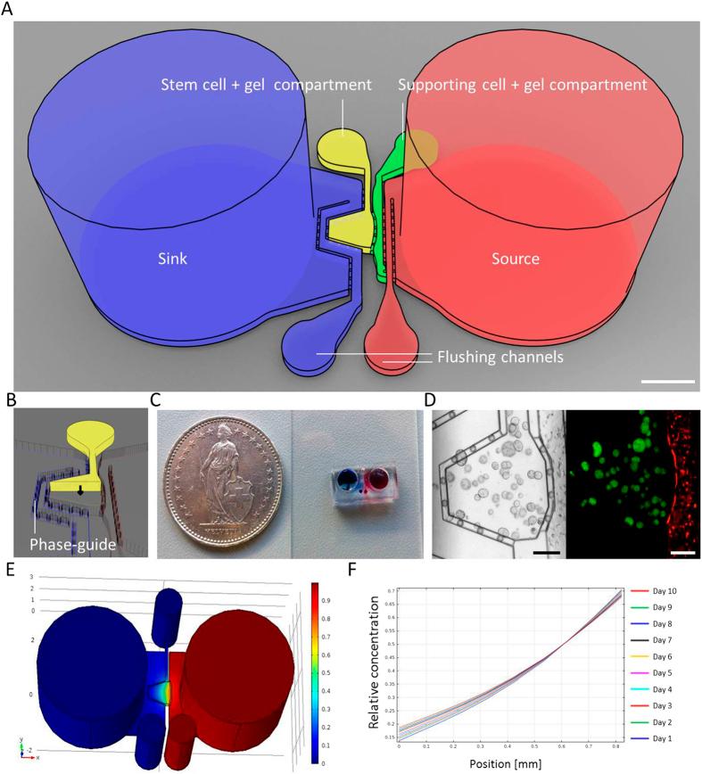 https://cdn.ncbi.nlm.nih.gov/pmc/blobs/8057/5356187/595ff574893b/srep44711-f1.jpg