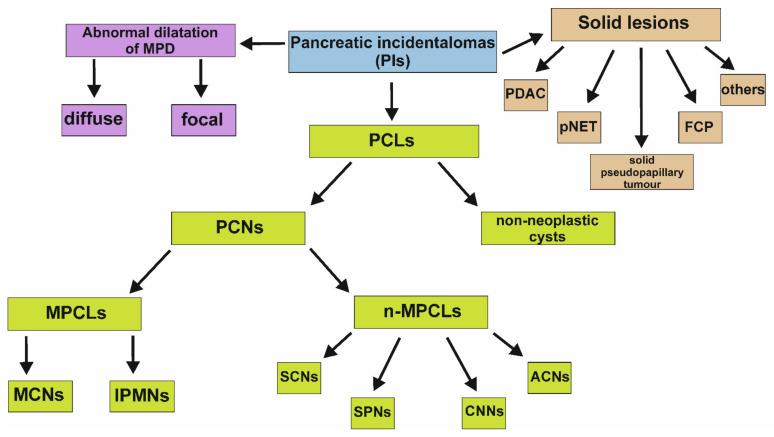 https://cdn.ncbi.nlm.nih.gov/pmc/blobs/8058/9409921/4d4d43074b58/jcm-11-04648-g001.jpg