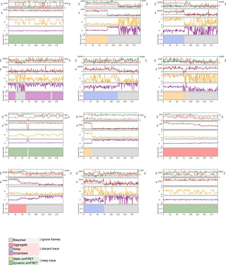 https://cdn.ncbi.nlm.nih.gov/pmc/blobs/805a/7609065/35e1d62f803b/elife-60404-fig1-figsupp5.jpg