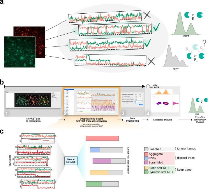 https://cdn.ncbi.nlm.nih.gov/pmc/blobs/805a/7609065/dabaa9cf1510/elife-60404-fig1.jpg