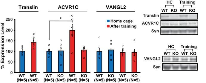 https://cdn.ncbi.nlm.nih.gov/pmc/blobs/805c/5606845/7d215fd9444b/elife-27872-fig5.jpg