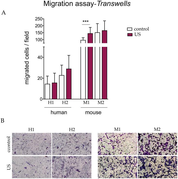 https://cdn.ncbi.nlm.nih.gov/pmc/blobs/805c/7877602/3d6df8c8eda7/pone.0246261.g006.jpg