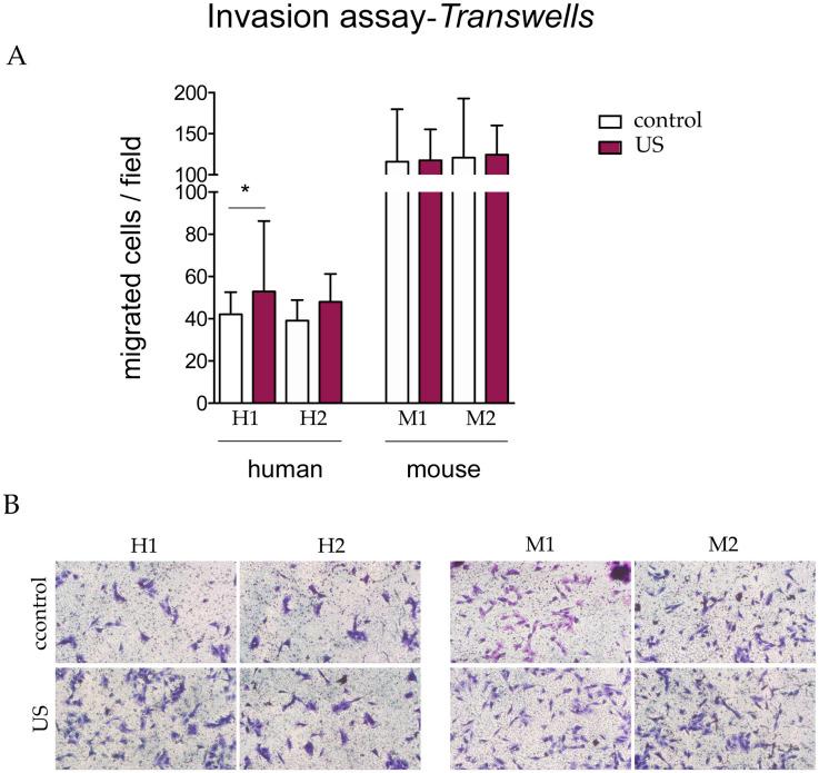 https://cdn.ncbi.nlm.nih.gov/pmc/blobs/805c/7877602/d1a2bd3b74dc/pone.0246261.g007.jpg