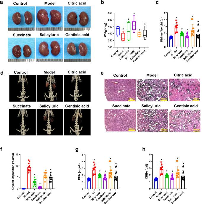 https://cdn.ncbi.nlm.nih.gov/pmc/blobs/805c/9867757/bdc1cdca6724/41392_2023_1311_Fig5_HTML.jpg