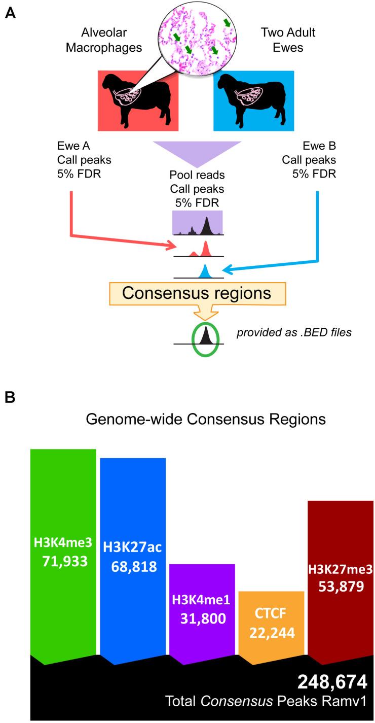 https://cdn.ncbi.nlm.nih.gov/pmc/blobs/805d/7817998/c551f1b4c36e/fgene-11-612031-g001.jpg