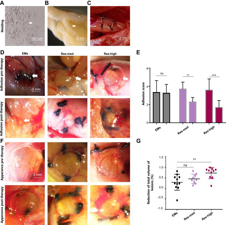 https://cdn.ncbi.nlm.nih.gov/pmc/blobs/805d/8487867/956cf31420a2/DDDT-15-4141-g0001.jpg