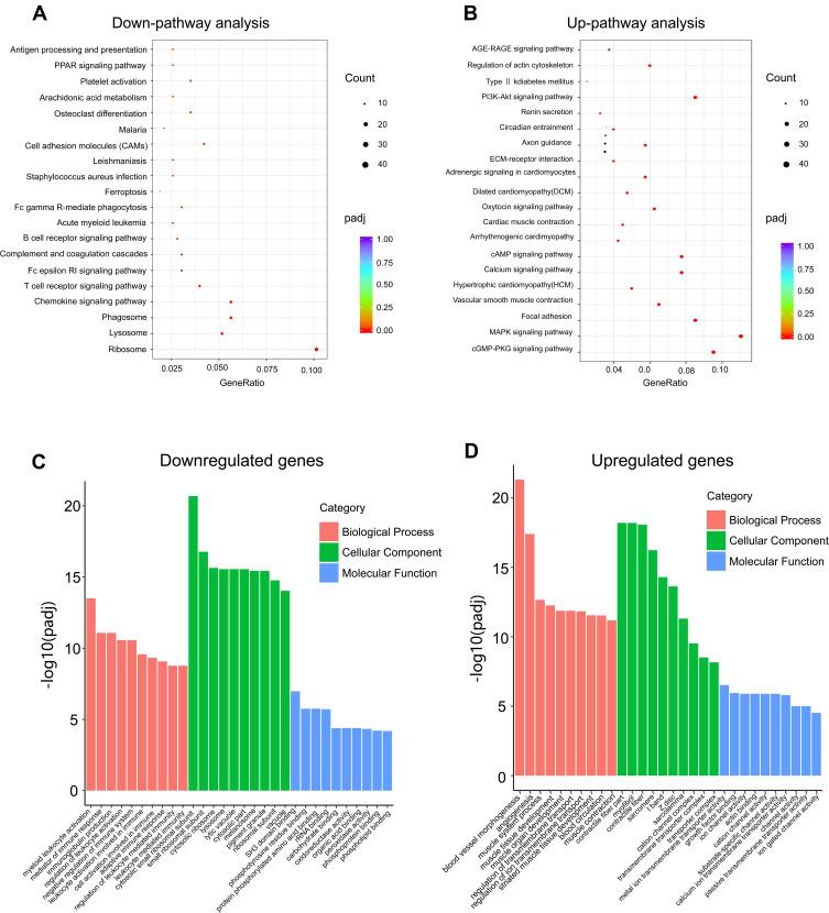 https://cdn.ncbi.nlm.nih.gov/pmc/blobs/805d/8487867/c94a54548541/DDDT-15-4141-g0003.jpg