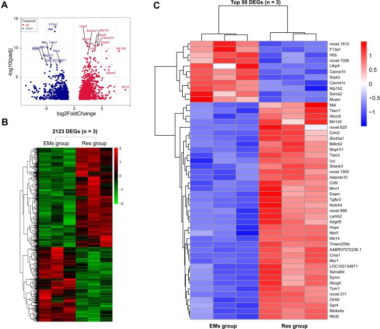 https://cdn.ncbi.nlm.nih.gov/pmc/blobs/805d/8487867/fe526f261d24/DDDT-15-4141-g0002.jpg