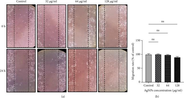 https://cdn.ncbi.nlm.nih.gov/pmc/blobs/805f/10896653/e1420026662e/BMRI2024-7145339.009.jpg