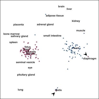 https://cdn.ncbi.nlm.nih.gov/pmc/blobs/8060/2267211/40c25a1ef2b7/pone.0001854.g003.jpg