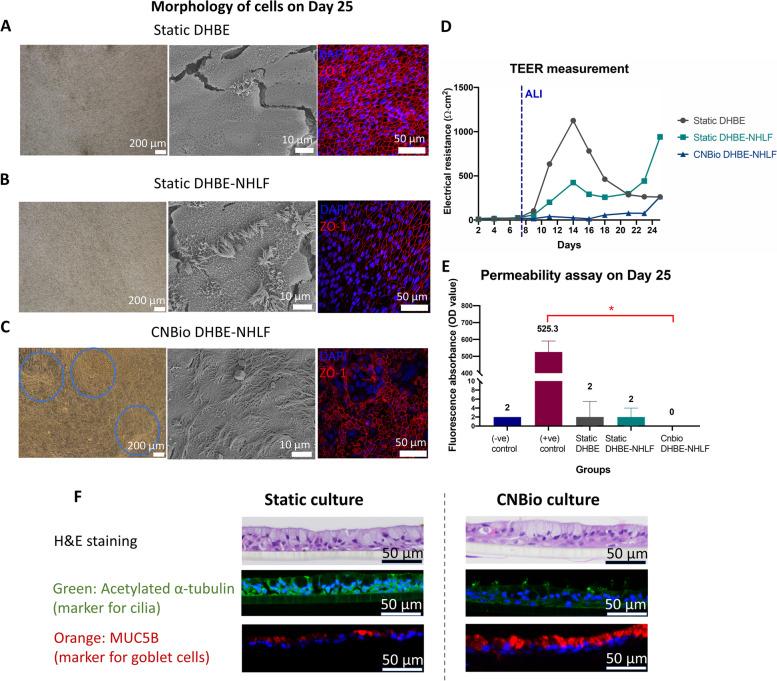 https://cdn.ncbi.nlm.nih.gov/pmc/blobs/8061/10131416/17883a78094c/40824_2023_366_Fig6_HTML.jpg