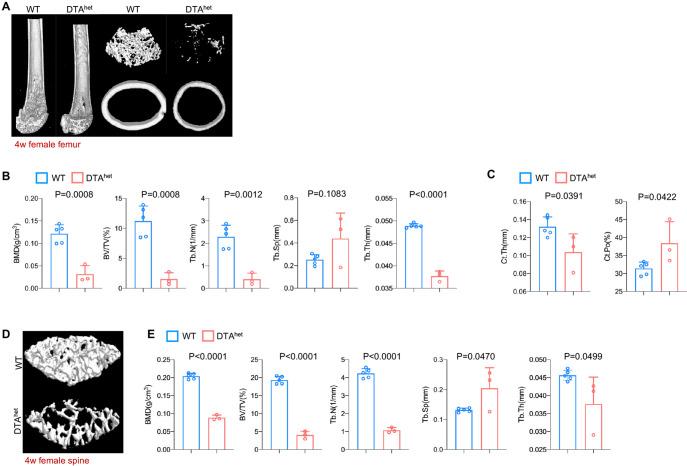 https://cdn.ncbi.nlm.nih.gov/pmc/blobs/8061/9678362/2552f520df8c/elife-81480-fig2-figsupp1.jpg