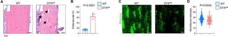 https://cdn.ncbi.nlm.nih.gov/pmc/blobs/8061/9678362/5a0071da75f8/elife-81480-fig1.jpg