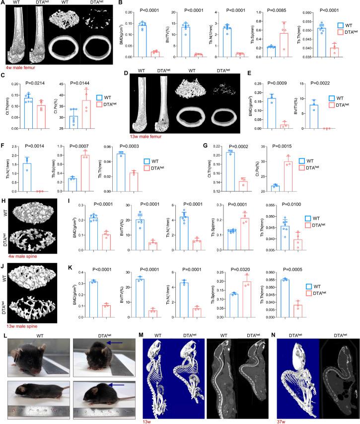 https://cdn.ncbi.nlm.nih.gov/pmc/blobs/8061/9678362/5f00203bba00/elife-81480-fig2.jpg