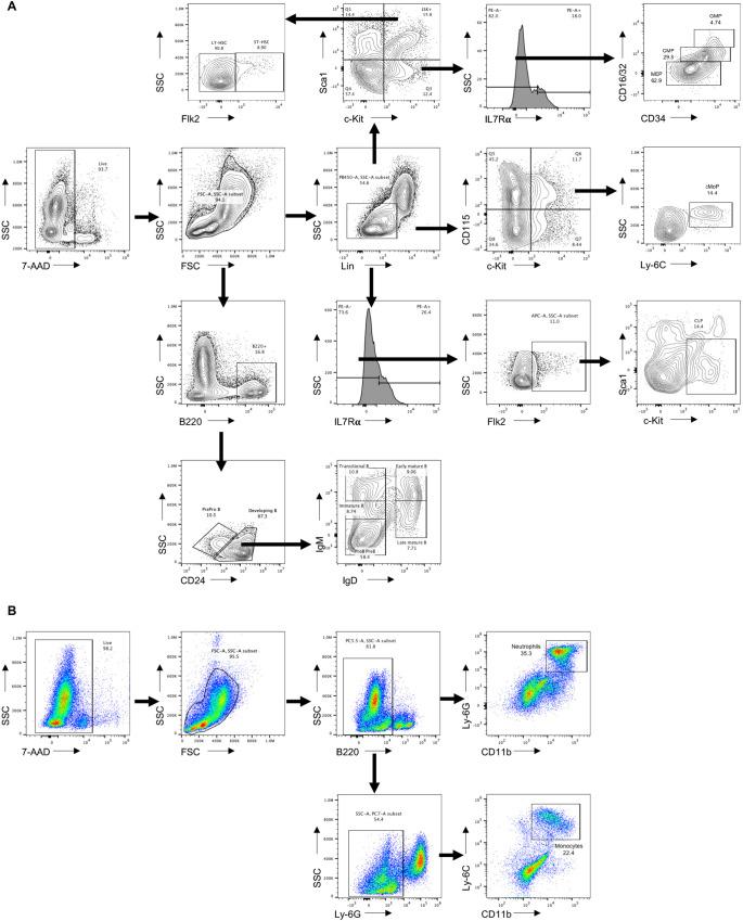https://cdn.ncbi.nlm.nih.gov/pmc/blobs/8061/9678362/68e6640de81a/elife-81480-fig5-figsupp1.jpg