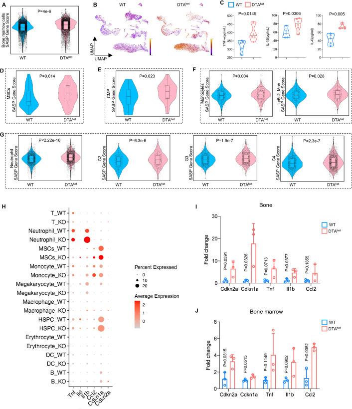 https://cdn.ncbi.nlm.nih.gov/pmc/blobs/8061/9678362/75153f91ac80/elife-81480-fig6.jpg