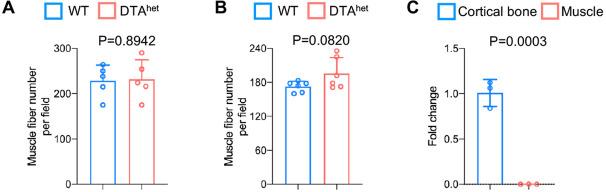 https://cdn.ncbi.nlm.nih.gov/pmc/blobs/8061/9678362/a7b83ccaddb6/elife-81480-fig3-figsupp1.jpg