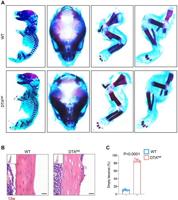 https://cdn.ncbi.nlm.nih.gov/pmc/blobs/8061/9678362/f215d4bc5a38/elife-81480-fig1-figsupp1.jpg