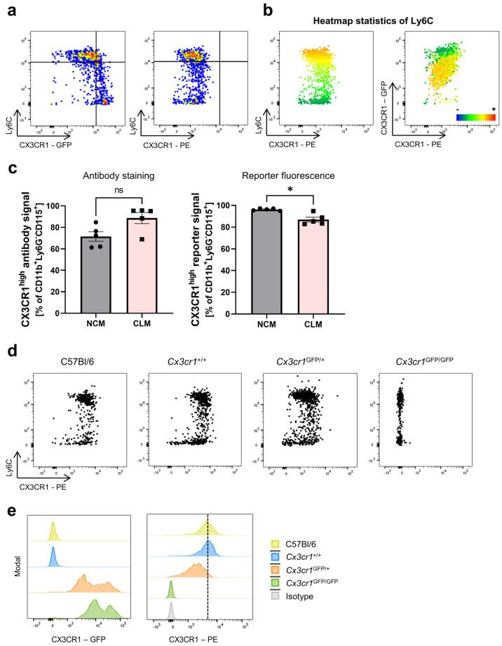 https://cdn.ncbi.nlm.nih.gov/pmc/blobs/8062/11119841/73f3a1ef844e/cells-13-00819-g003.jpg