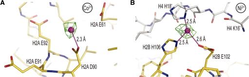 https://cdn.ncbi.nlm.nih.gov/pmc/blobs/8062/2952864/3edfa82b19e7/gkq420f5.jpg