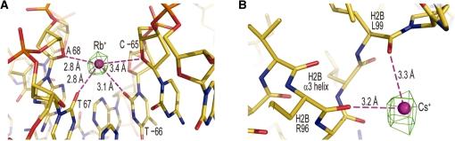 https://cdn.ncbi.nlm.nih.gov/pmc/blobs/8062/2952864/c51918ca970a/gkq420f6.jpg
