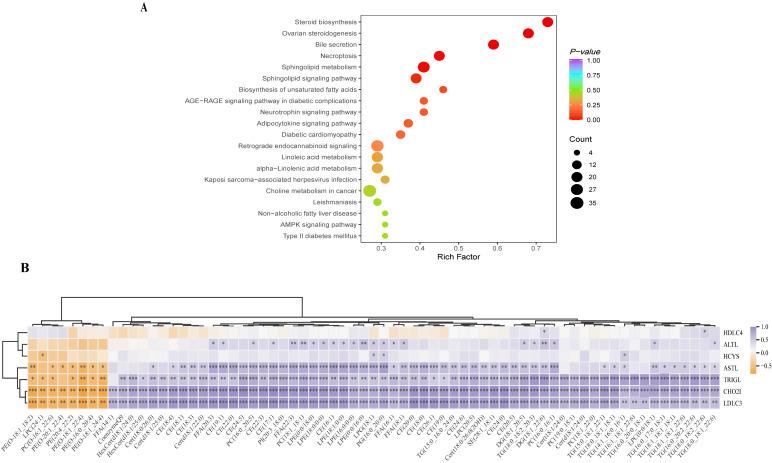 https://cdn.ncbi.nlm.nih.gov/pmc/blobs/8063/12113417/cec8e25e70d4/metabolites-15-00291-g010.jpg