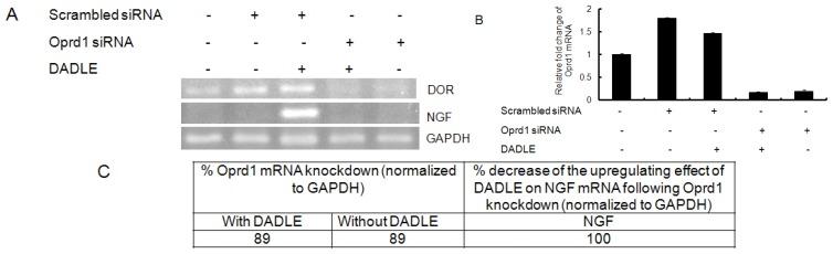 https://cdn.ncbi.nlm.nih.gov/pmc/blobs/8064/3821661/10f8e022b144/ijms-14-21114f9.jpg