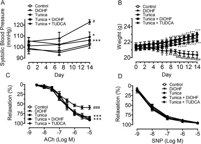 https://cdn.ncbi.nlm.nih.gov/pmc/blobs/8066/5789000/7403812b1223/41598_2018_19584_Fig1_HTML.jpg