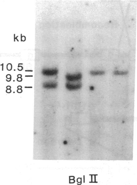 https://cdn.ncbi.nlm.nih.gov/pmc/blobs/8069/304751/94380c8b03d8/pnas00274-0266-b.jpg