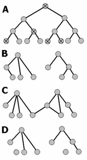 https://cdn.ncbi.nlm.nih.gov/pmc/blobs/806a/544566/e5d937acdb13/1471-2105-5-196-1.jpg